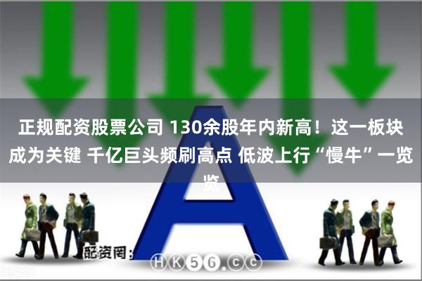 正规配资股票公司 130余股年内新高！这一板块成为关键 千亿巨头频刷高点 低波上行“慢牛”一览