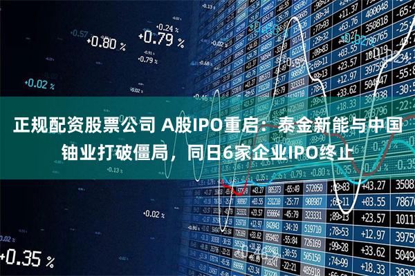 正规配资股票公司 A股IPO重启：泰金新能与中国铀业打破僵局，同日6家企业IPO终止
