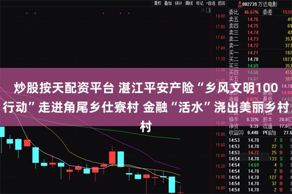 炒股按天配资平台 湛江平安产险“乡风文明100行动”走进角尾乡仕寮村 金融“活水”浇出美丽乡村