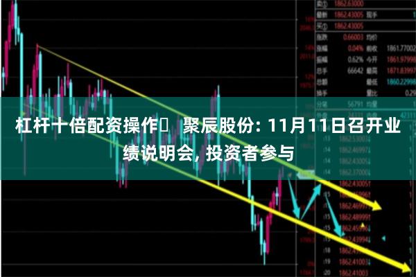 杠杆十倍配资操作	 聚辰股份: 11月11日召开业绩说明会, 投资者参与